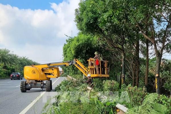 Hà Nội cắt tỉa cây xanh đảm bảo an toàn mùa mưa bão