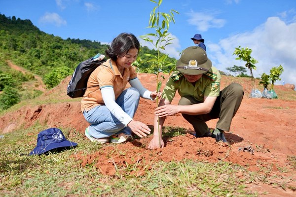 Vietnam Airlines chung tay phục hồi hệ sinh thái rừng tại Sơn La