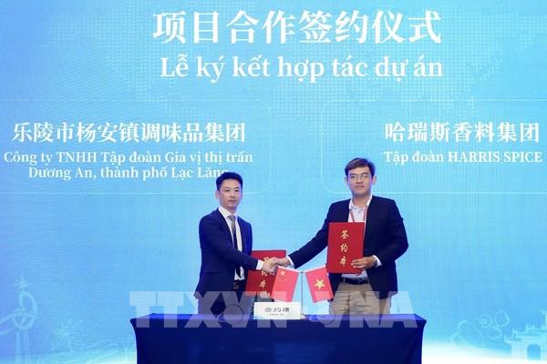 Thành phố Lạc Lăng (Trung Quốc) xúc tiến giao thương tại Việt Nam