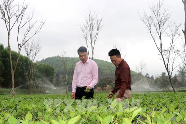 Trợ lực tín dụng tại vùng khó