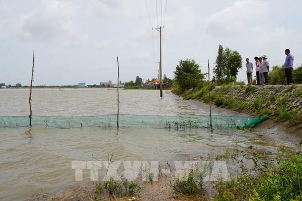 Mùa nước nổi và mô hình nuôi trữ cá