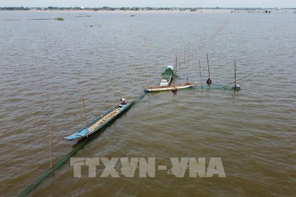Nuôi trữ cá – hướng làm giàu mùa lũ ở Đồng Tháp