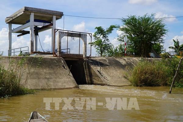Mở cống đón lũ, mang phù sa vào ruộng ở Đồng Tháp