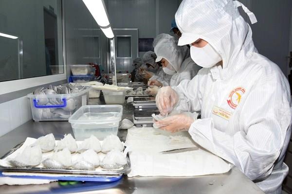 An Giang thu hoạch 20,5 tấn tổ yến