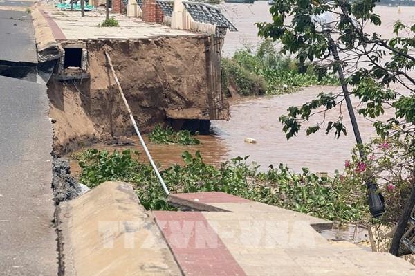 Đồng Tháp: Kè Thường Thới Tiền tiếp tục sạt lở nghiêm trọng