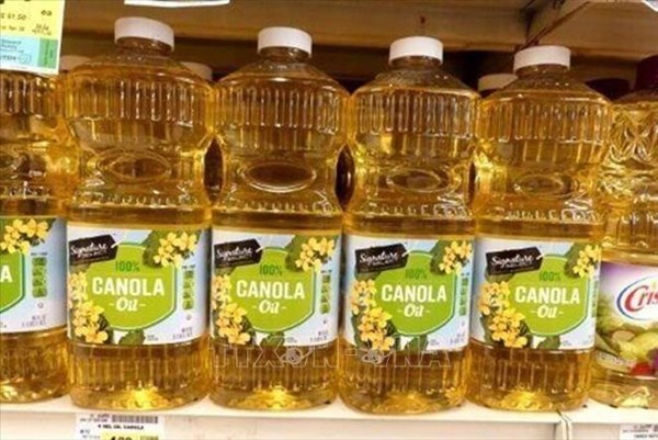 Trung Quốc áp thuế chống bán phá giá sơ bộ 75,8% với hạt cải dầu của Canada