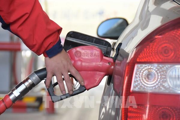 Thị trường năng lượng có xu hướng tăng nhẹ