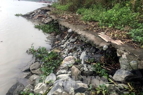 Hải Phòng dành trên 356 tỷ đồng đầu tư xây dựng nâng cấp tuyến đê xung yếu