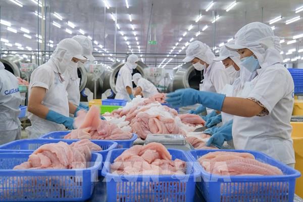 Xuất khẩu của Cần Thơ tăng vọt sau hợp nhất