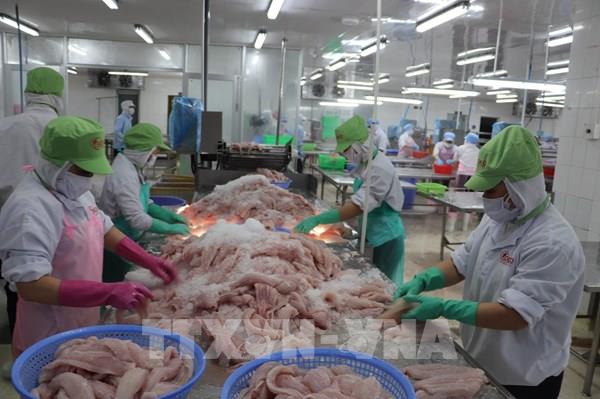 Doanh nghiệp gia nhập thị trường tăng 18,9%