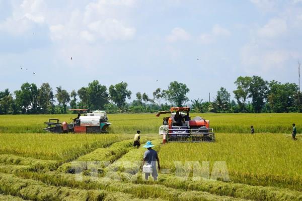 Ấn tượng Việt Nam: Hành trình đến cường quốc nông sản