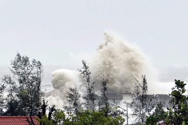 Bão số 8 không ảnh hưởng tới đất liền Việt Nam​