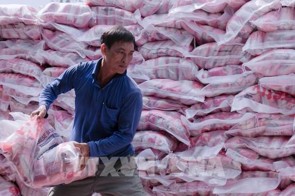 Thị trường nông sản: Giá gạo xuất khẩu tăng