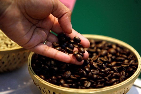 Đón đầu "cơn sóng" tăng trưởng mới cho cà phê tại Ấn Độ