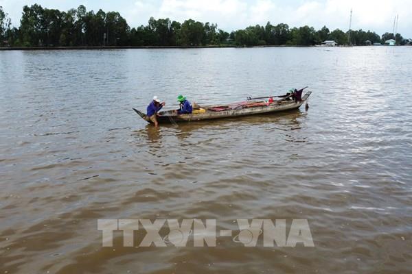 Mưu sinh theo con nước nổi đất Sen hồng