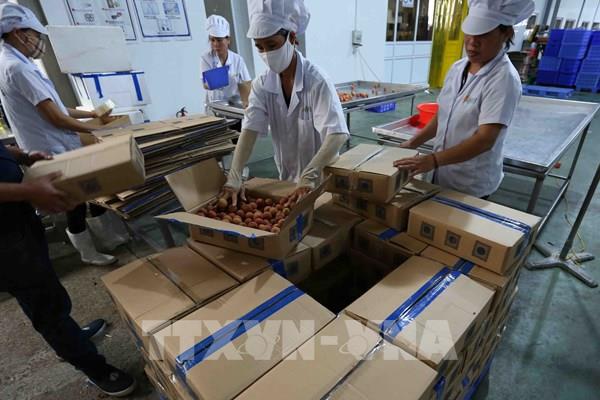 Bộ Công Thương hướng dẫn áp dụng Quy tắc xuất xứ AANZFTA