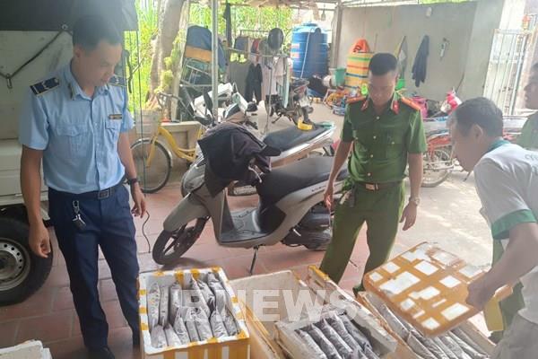 Tiêu hủy hơn 1.000 kg các loại côn trùng không rõ nguồn gốc xuất xứ