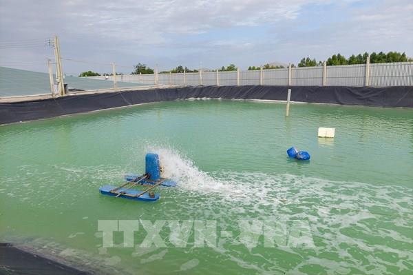 Nông dân đổi đời nhờ mô hình canh tác hiện đại