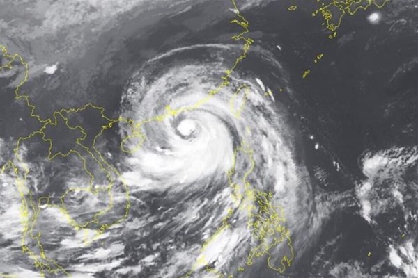 Áp thấp nhiệt đới di chuyển theo hướng Tây Tây Bắc, gió giật cấp 9