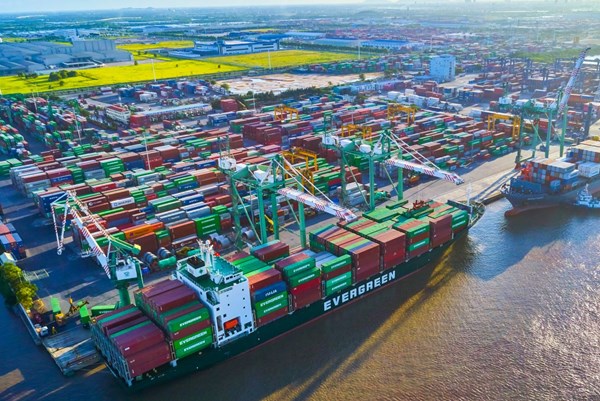 Lãnh đạo VSC giải trình về việc cổ phiếu tăng trần 5 phiên liên tiếp