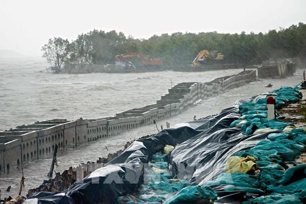 Bờ biển Quảng Trị sạt lở nghiêm trọng, hàng trăm hộ dân thấp thỏm trước mùa mưa bão