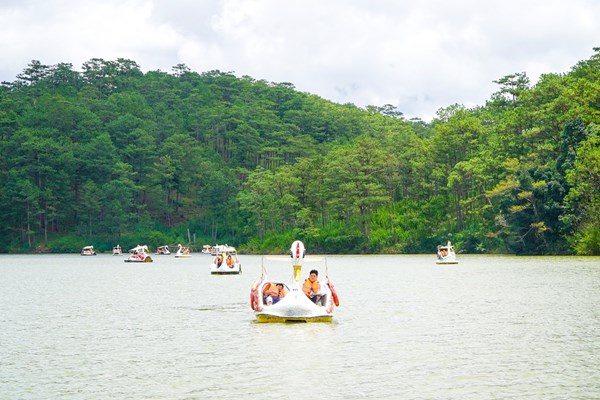 Dịch vụ đạp vịt trên hồ Xuân Hương (Đà Lạt) hoạt động trở lại