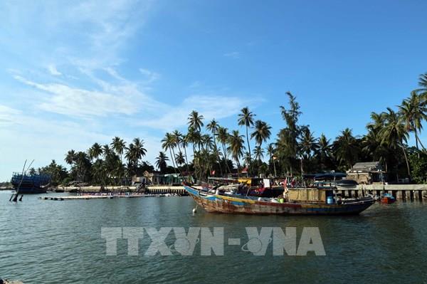 Giữ màu xanh những cánh rừng nơi cửa biển - Bài cuối: "Đánh thức" tiềm năng rừng ngập mặn