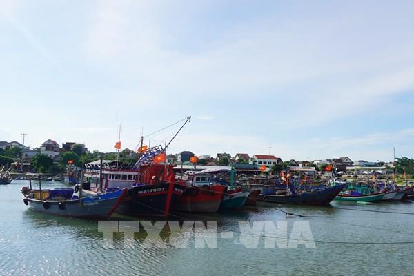 Công điện của Thủ tướng về tập trung ứng phó khẩn cấp bão số 5