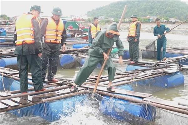 Bão số 5 giật cấp 17, di chuyển theo hướng Tây