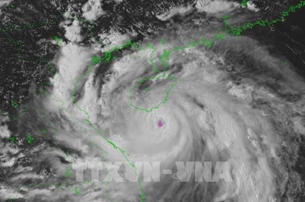 Cập nhật mới nhất về bão số 5