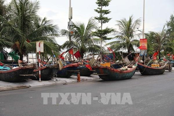 Tám tỉnh, thành phố đã thực hiện lệnh cấm biển