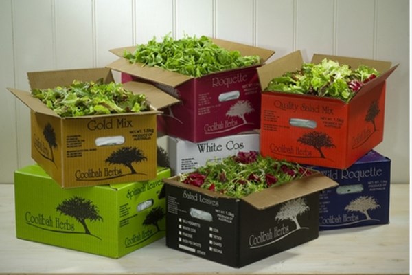 Singapore thu hồi salad nhập khẩu gây ngộ độc thực phẩm