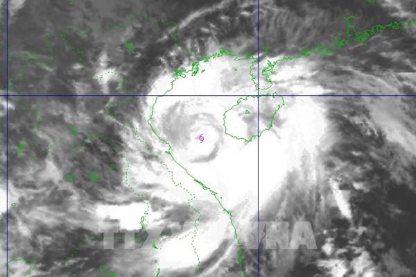 Bão số 5 đang di chuyển với tốc độ 20 km/h