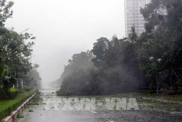 Cảnh báo an toàn điện trong bão số 5