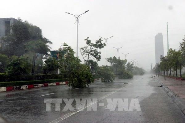 Hà Tĩnh có 1 người tử vong và nhiều thiệt hại về tài sản, hoa màu