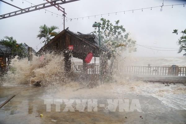 Bão số 5 suy yếu thành áp thấp nhiệt đới trên khu vực Trung Lào