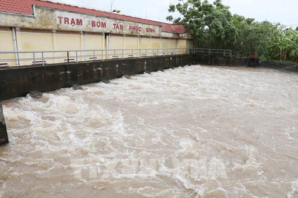 Hơn 1.700 ha lúa tại Hưng Yên bị ngập úng cục bộ