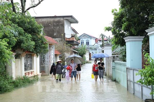 Người dân Ninh Bình chủ động đối phó nước lũ