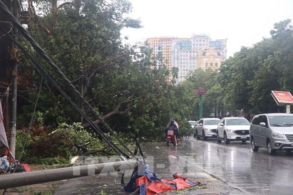 Quảng Trị cử đội xung kích hỗ trợ Hà Tĩnh khôi phục lưới điện sau bão