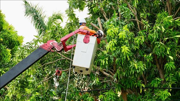 Lịch cắt điện Khánh Hòa (Nha Trang) ngày mai 18/10 cập nhật mới nhất