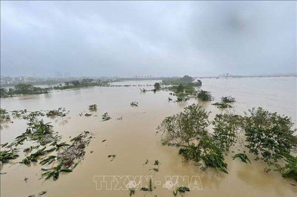 Ảnh hưởng bão số 5: Lũ trên sông Lục Nam lên nhanh
