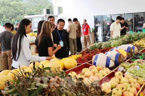 Hoa quả Việt Nam được chào đón tại thị trường Trung Quốc
