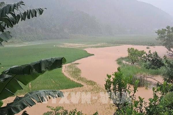 Phú Thọ ứng phó tình huống lũ ống, lũ quét