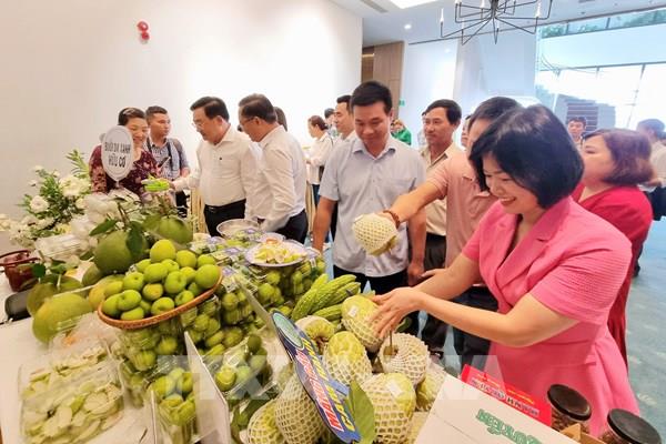 Chuyển đổi số mở ra cơ hội phát triển cho các hợp tác xã