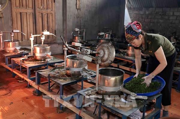 Trí thức, doanh nhân, thanh niên góp ý xây dựng tầm nhìn phát triển đất nước