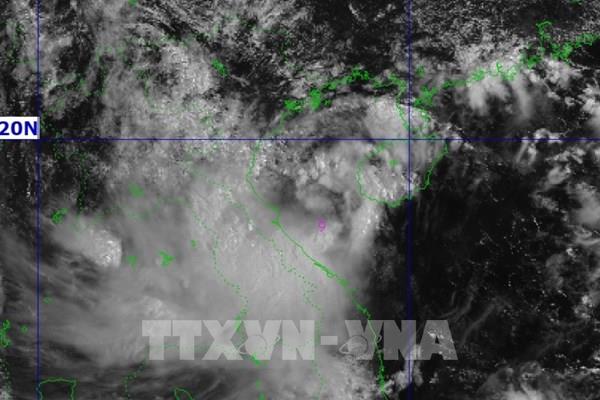 Từ Quảng Ninh đến Đắk Lắk chủ động ứng phó với bão số 8