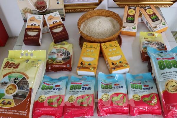 Gạo sinh thái ruộng rươi Ninh Bình: Thương hiệu quốc gia, hướng ra thế giới