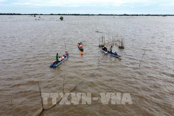 Về Đồng Tháp, trải nghiệm du lịch mùa nước nổi