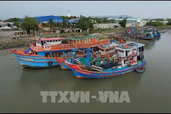 Tàu cá nằm bờ vì tàu một đằng, giấy phép một nẻo