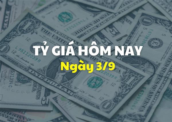 Tỷ giá hôm nay 3/9: Giá USD tăng nhẹ